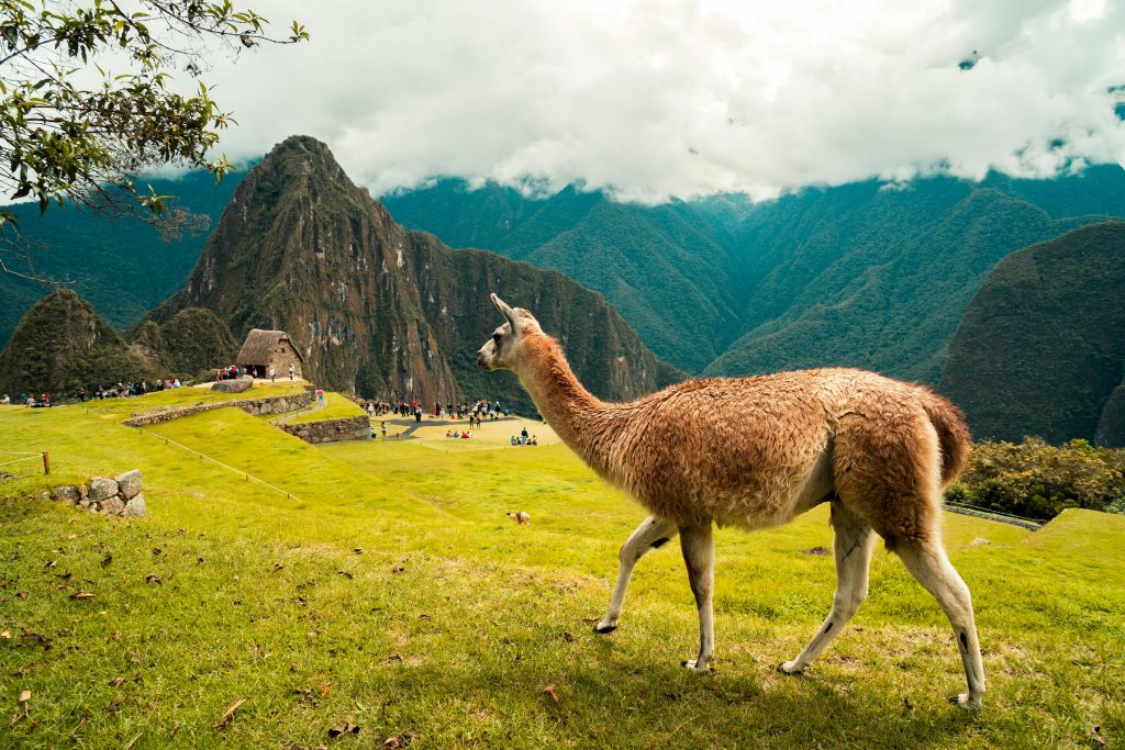 Nepal ejemplo